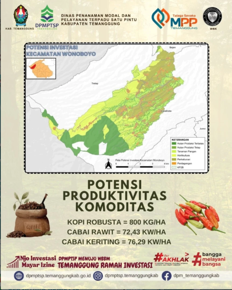 Pengumuman